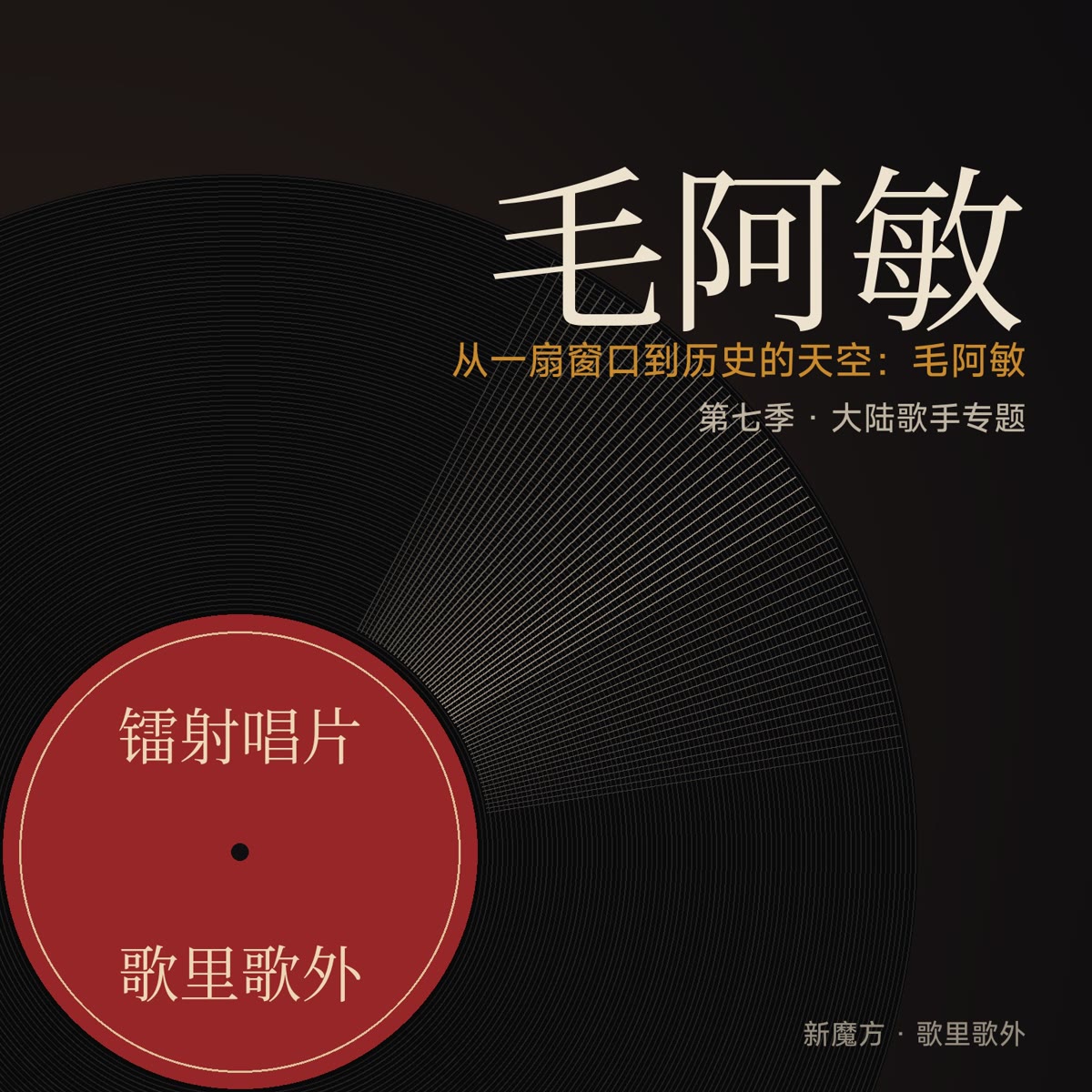 从一扇窗口到历史的天空：毛阿敏 封面