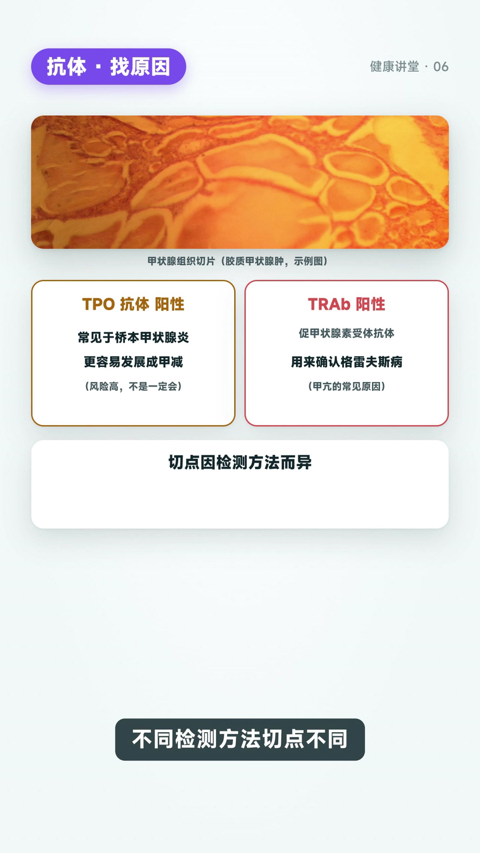 看懂甲功报告:TSH、FT4、抗体